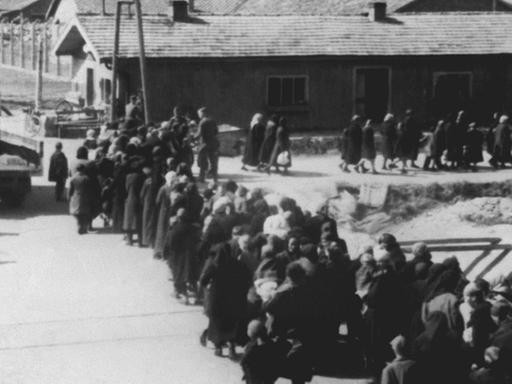 Ein Gruppe Häftlinge bewegt sich nach der Selektion zum Krematorium im KZ Auschwitz.