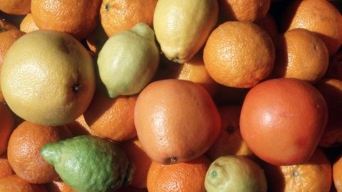 Verschiedene Sorten Zitrusfrüchte wie Grapefruits, Zitronen, Orangen, Mandarinen und Clementinen.