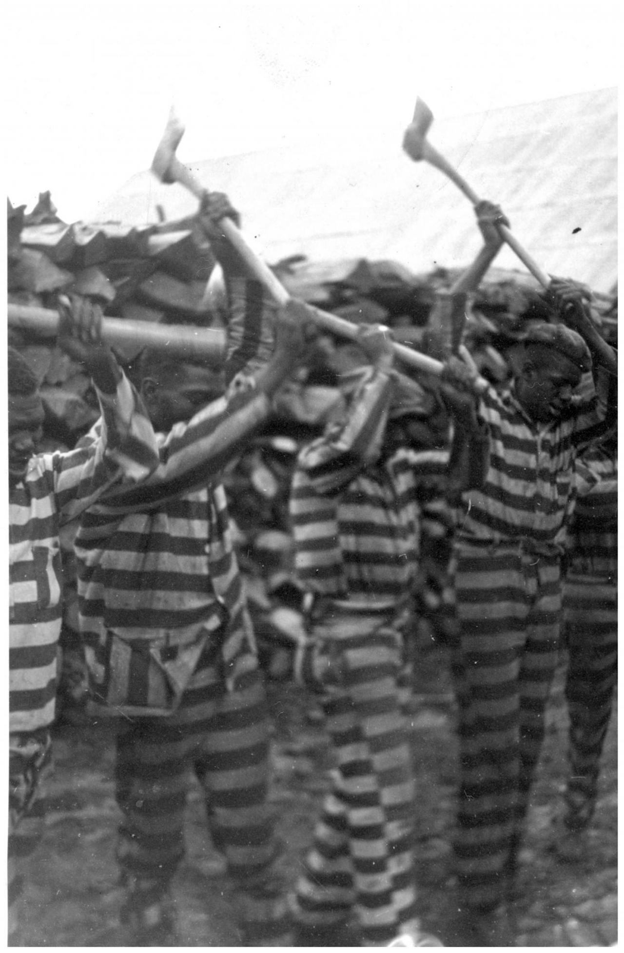 Afroamerikanische Sträflinge beim Holzhacken in Reed Camp, Südkalifornien, fotografiert von Alan Lomax um 1934 Afroamerikanische Sträflinge beim Holzhacken in Reed Camp, Südkalifornien, fotografiert von Alan Lomax um 1934