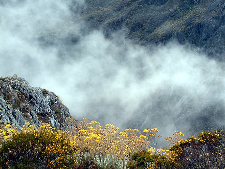 Geschichte einer Umerziehung deutschlandfunkkultur.de