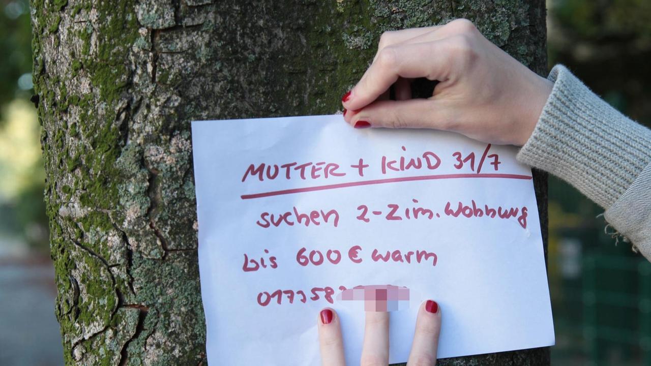 Die Hände einer jungen Frau, die auf Wohnungssuche ist, pint einen Zettel an einen Baum, auf dem steht: "Mutter und Kind suchen 2-3 Zimmer Wohnung". Die Hände einer jungen Frau, die auf Wohnungssuche ist, pint einen Zettel an einen Baum, auf dem steht: "Mutter und Kind suchen 2-3 Zimmer Wohnung".