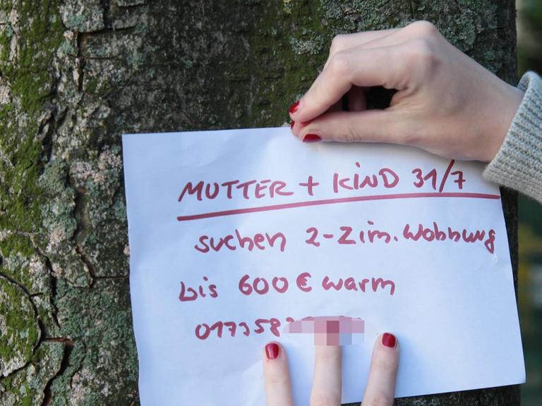 Die Hände einer jungen Frau, die auf Wohnungssuche ist, pint einen Zettel an einen Baum, auf dem steht: "Mutter und Kind suchen 2-3 Zimmer Wohnung".