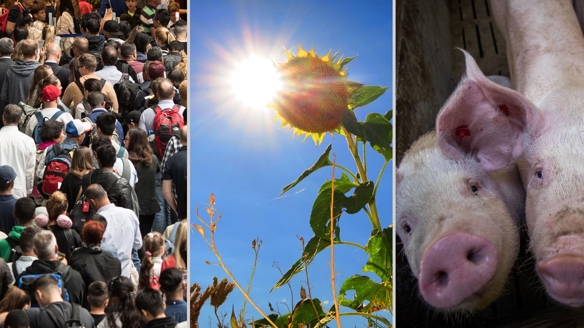 Klimawandel Klimawandel