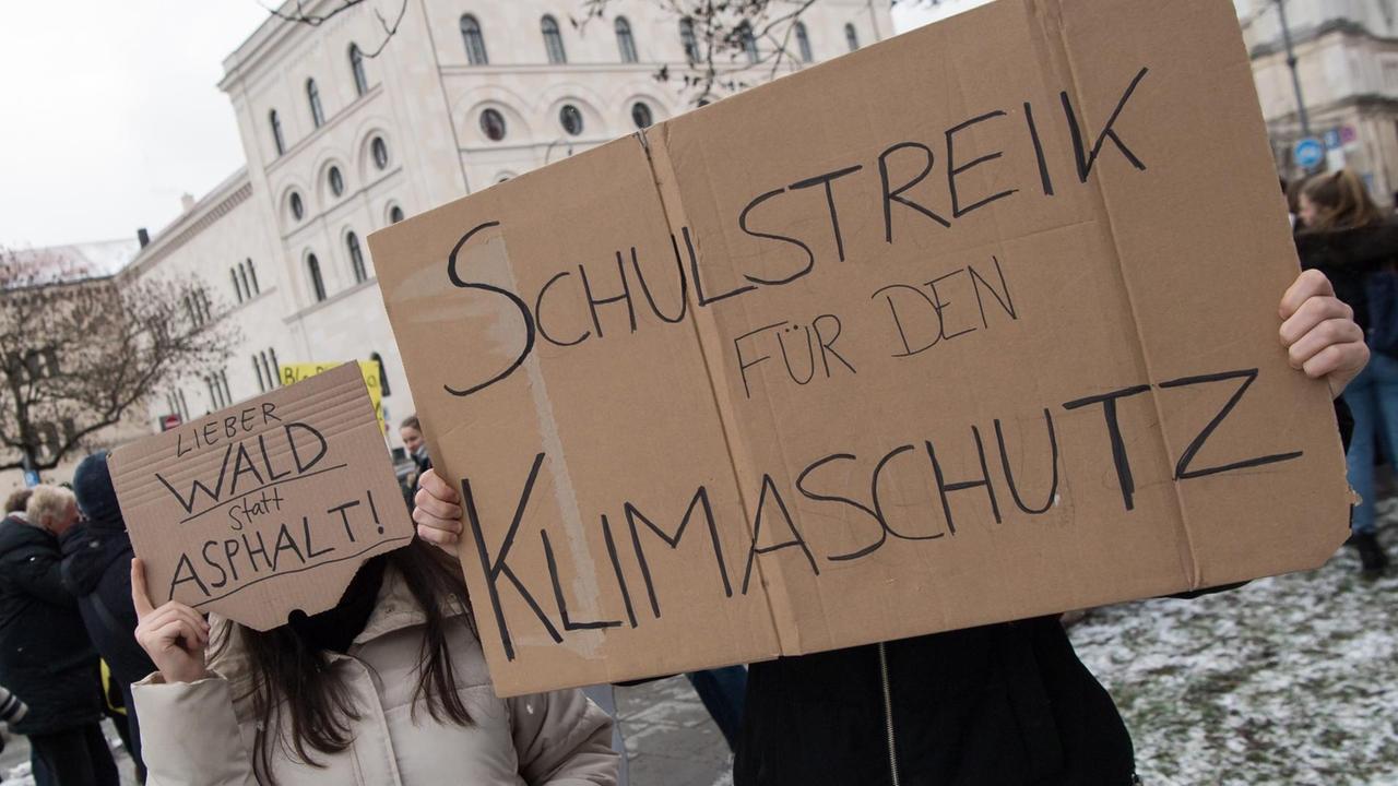 Schüler demonstrieren mit selbstgemalten Plakaten vor der Universität für den Klimaschutz