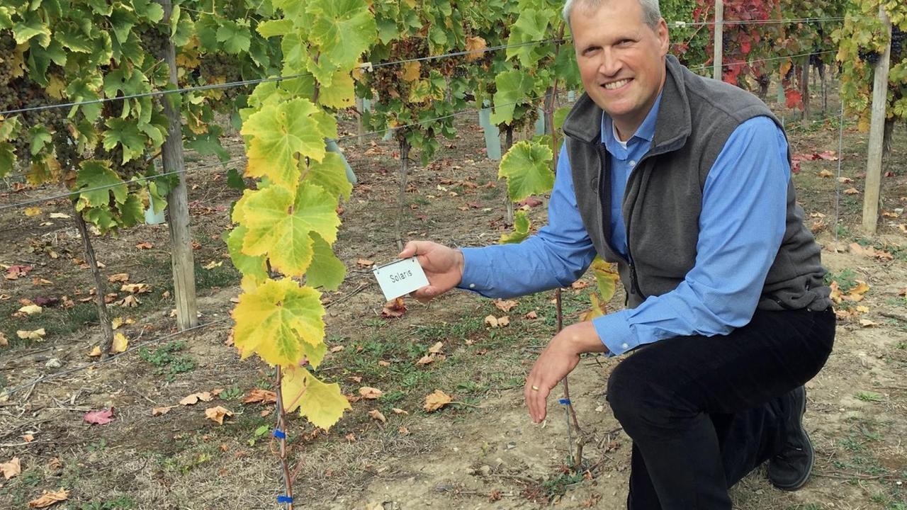 Arno Becker kniet vor einem Rebstock und lächelt in die Kamera. In seinerHand hält er ein Rebblatt. Arno Becker kniet vor einem Rebstock und lächelt in die Kamera. In seinerHand hält er ein Rebblatt.