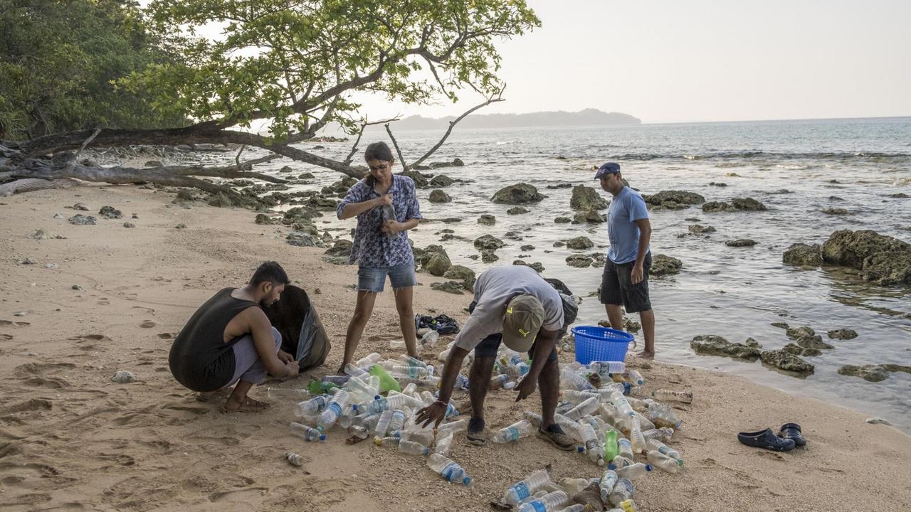 Vier Personen stehen am felsigen Strand und packen Dutzende Plastikflaschen, die im Sand liegen, in große Eimer. Vier Personen stehen am felsigen Strand und packen Dutzende Plastikflaschen, die im Sand liegen, in große Eimer.