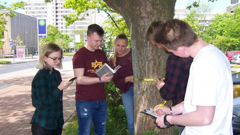 BürgerwissenschaftlerInnen erfassen die Daten eines Straßenbaumes mit Maßband und Smartphone BürgerwissenschaftlerInnen erfassen die Daten eines Straßenbaumes mit Maßband und Smartphone