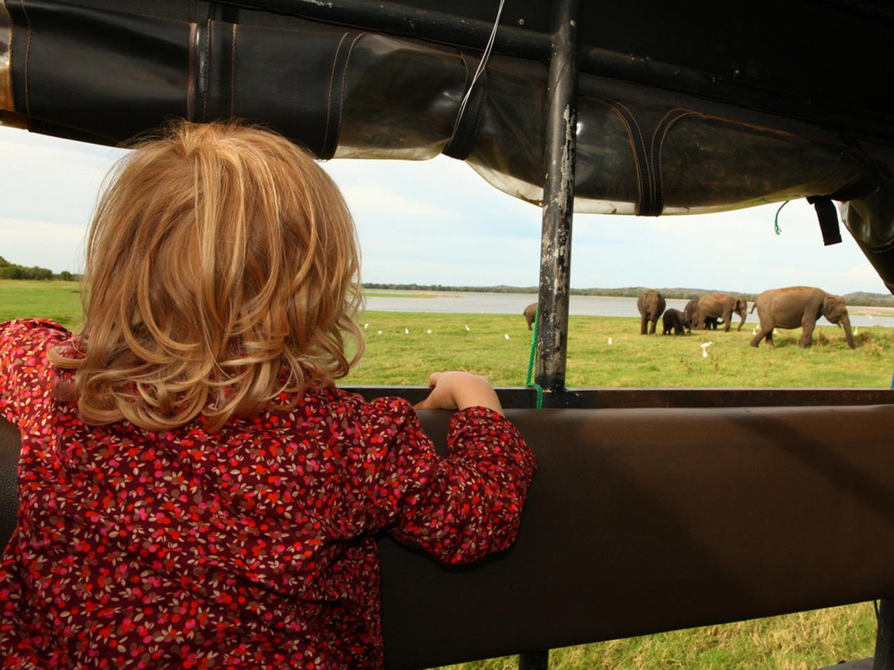 Eine Dreijährige beobachtet von einem Jeep aus eine Elefantenherde in Sri Lanka. Eine Dreijährige beobachtet von einem Jeep aus eine Elefantenherde in Sri Lanka.