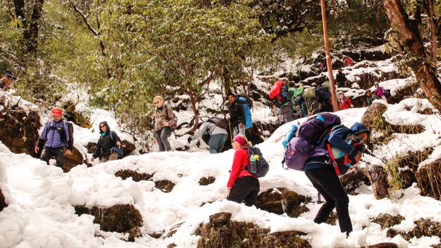 Trekk Bantanti Hill, Aufstieg nach Deurali, Nepal, März 2017 @ FM Rohm Trekk Bantanti Hill, Aufstieg nach Deurali, Nepal, März 2017 @ FM Rohm