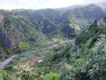 Fast zwei Drittel Madeiras stehen unter Naturschutz.