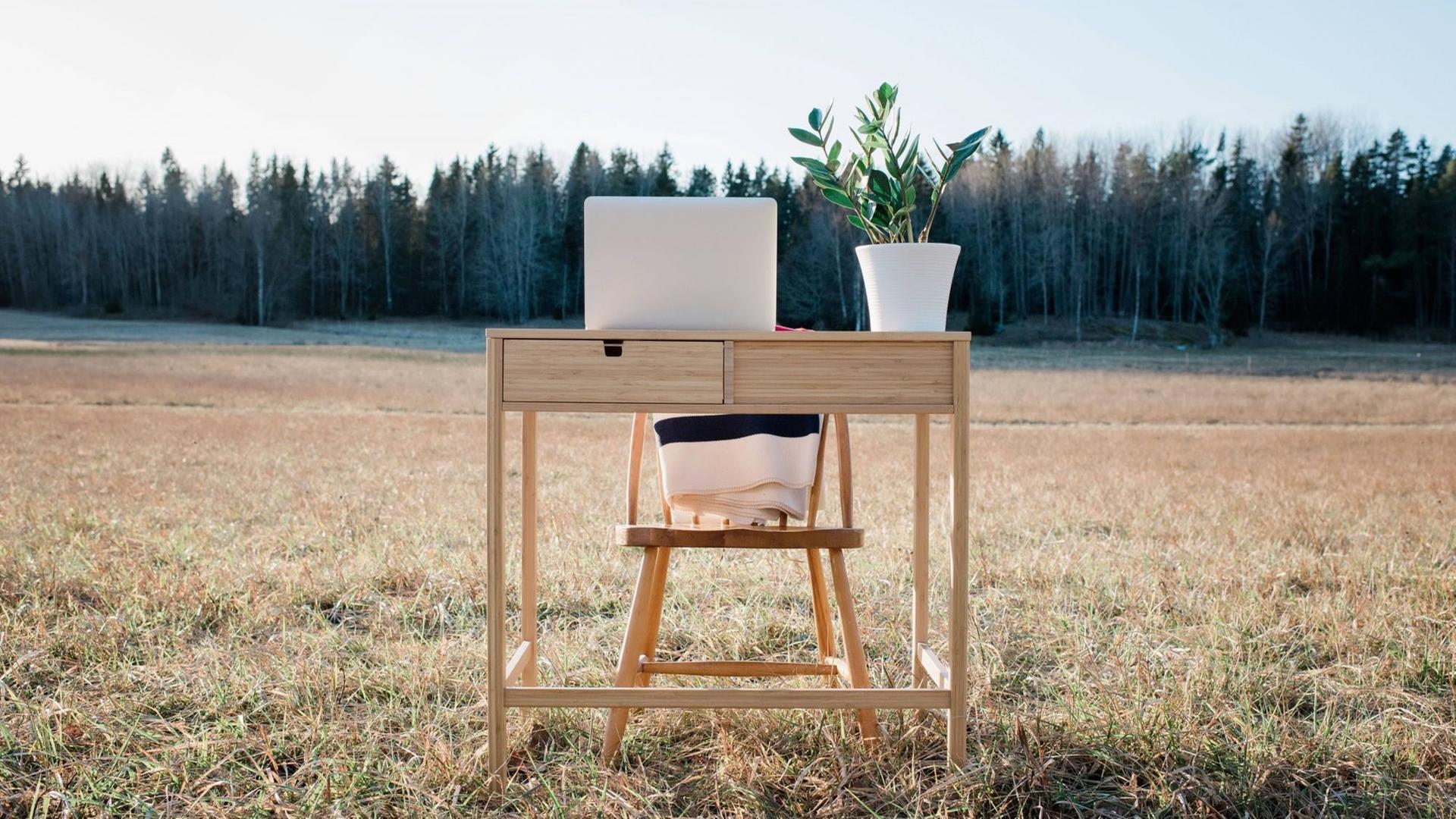 Ein Schreibtisch mit Laptop und Topfpflanze steht auf einem Feld. Ein Schreibtisch mit Laptop und Topfpflanze steht auf einem Feld.