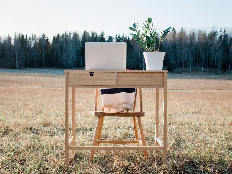 Ein Schreibtisch mit Laptop und Topfpflanze steht auf einem Feld.