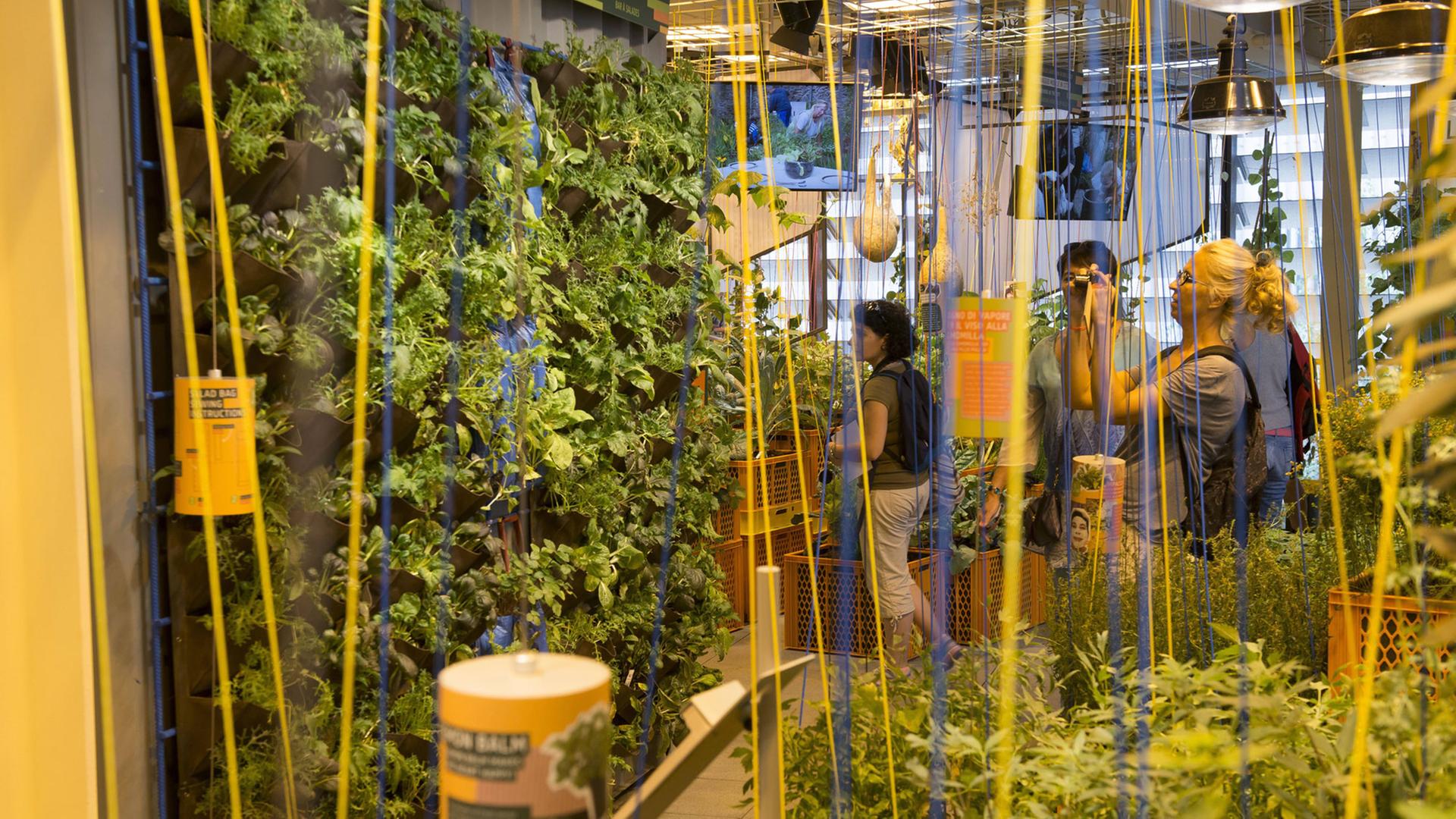 Im deutschen Pavillon auf der Expo 2015 "Feeding the Planet - Energy for Life" (Den Planeten ernähren - Energie fürs Leben) ist das Field of Ideas (Feld der Ideen) angelegt mit Lösungsansätzen in der Agrarwirtschaft.