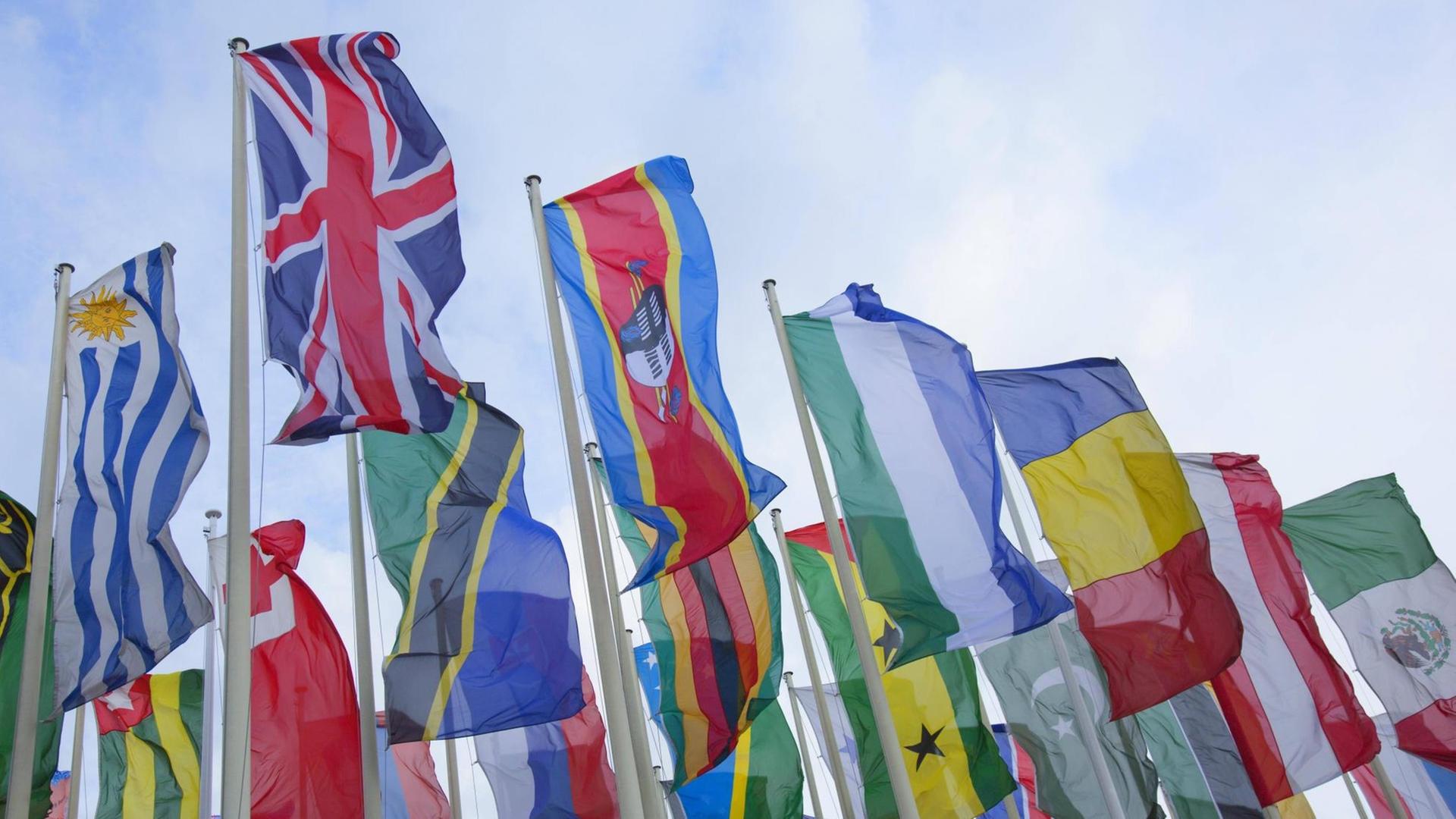 internationale Flaggen wehen im Wind internationale Flaggen wehen im Wind