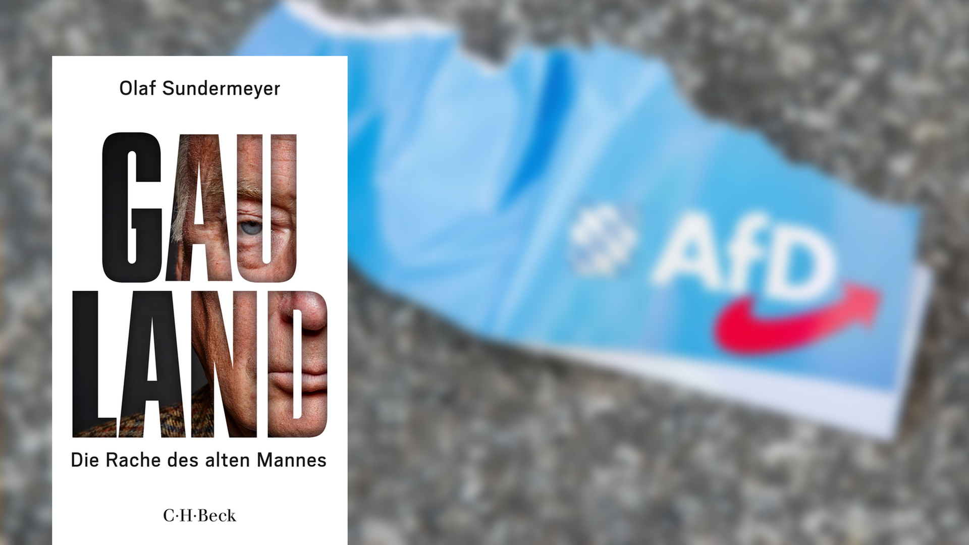 Im Vordergrund das Cover von "Gauland" von Olaf Sundermeyer, im Hintergrund ein Papierstück mit der Aufschrift "AfD", auf der Straße liegend.