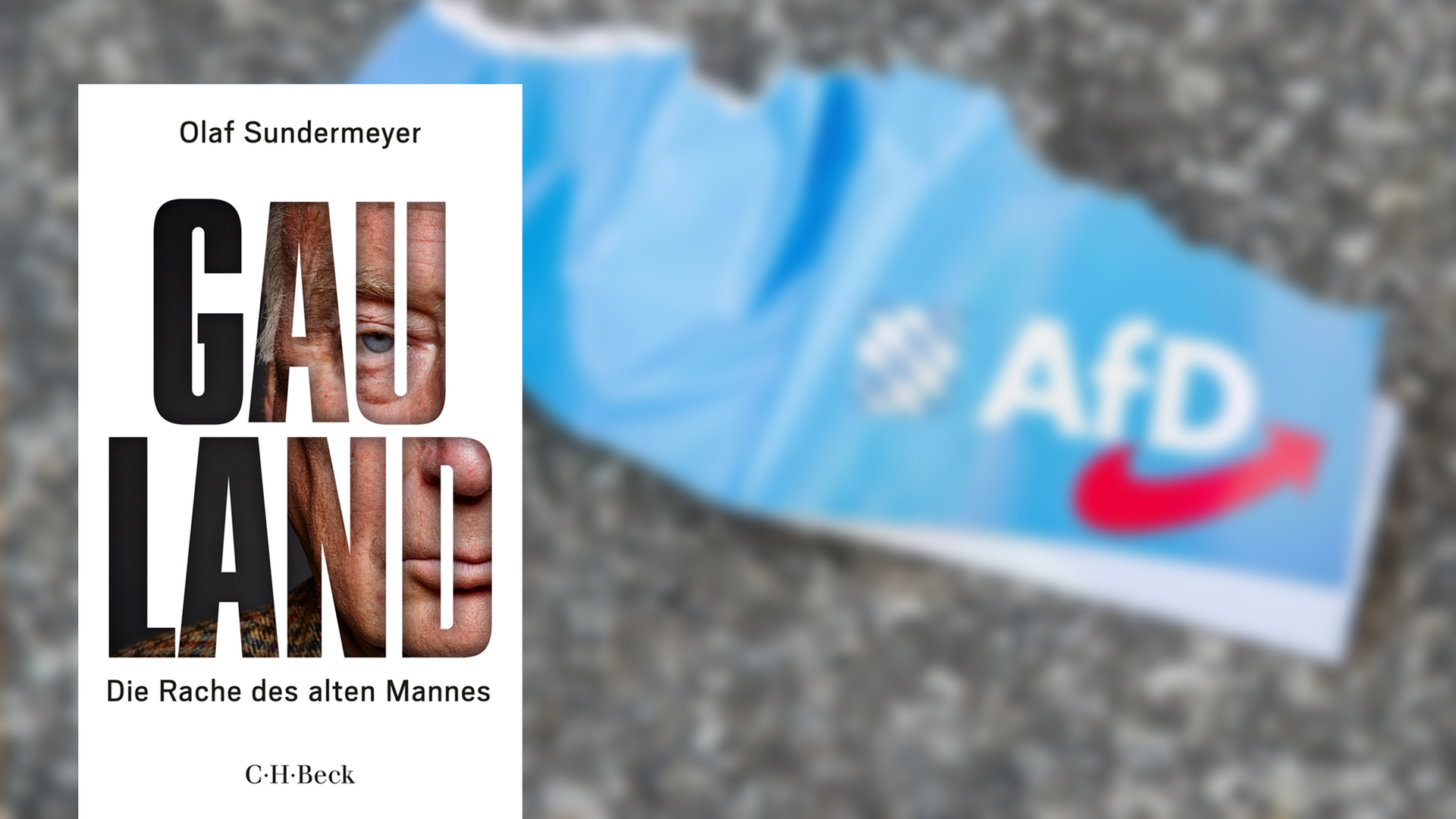 Im Vordergrund das Cover von "Gauland" von Olaf Sundermeyer, im Hintergrund ein Papierstück mit der Aufschrift "AfD", auf der Straße liegend. Im Vordergrund das Cover von "Gauland" von Olaf Sundermeyer, im Hintergrund ein Papierstück mit der Aufschrift "AfD", auf der Straße liegend.