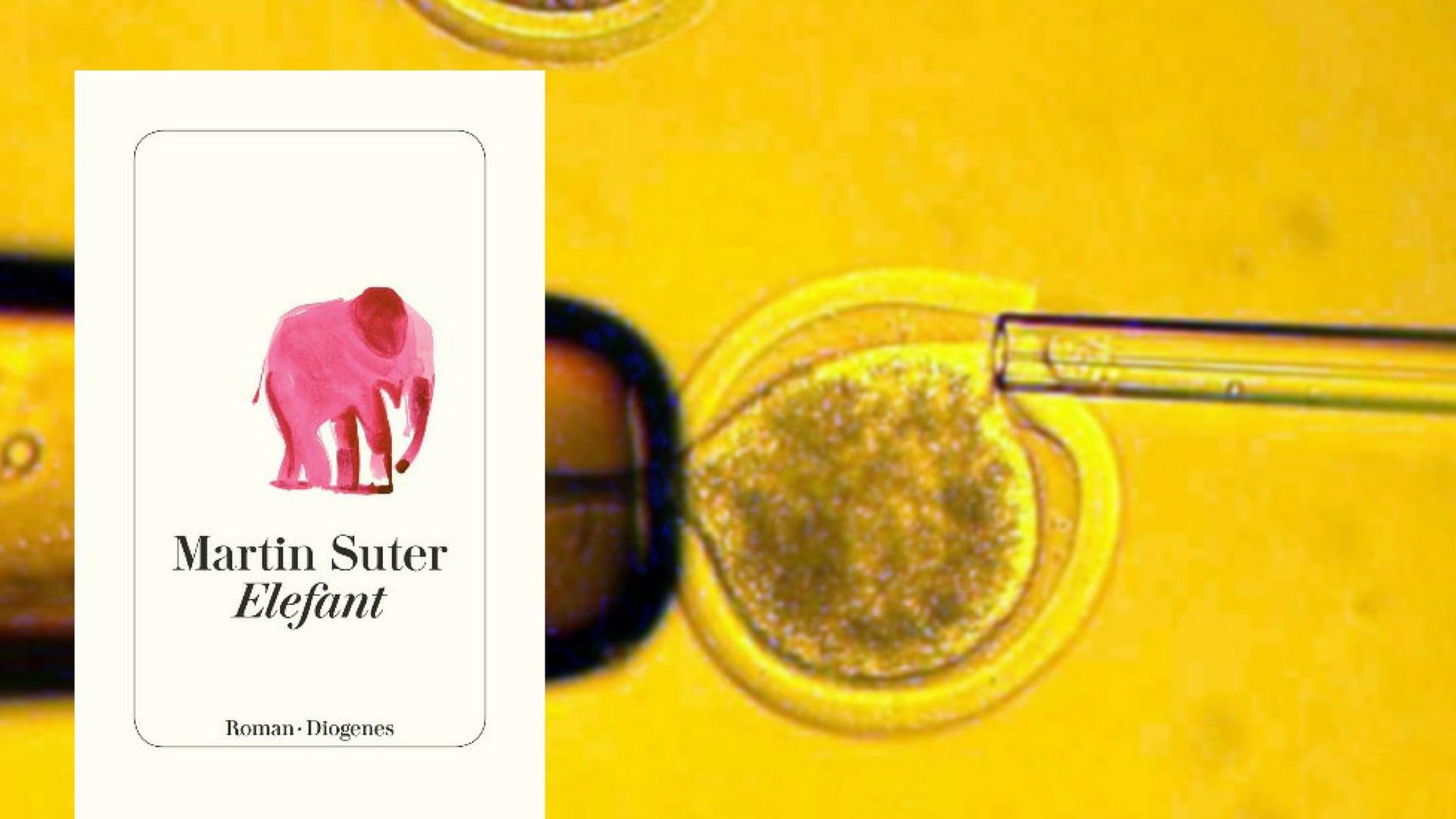 Cover - Martin Suter: "Elefant" Cover - Martin Suter: "Elefant"