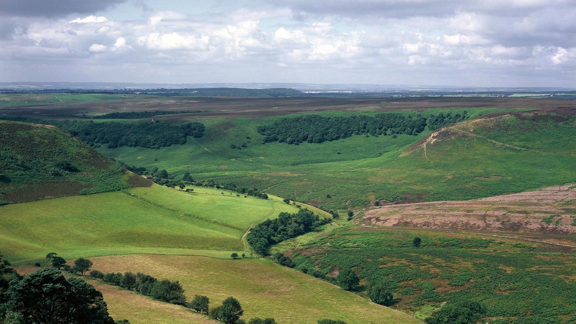 Blick auf die Landschaft des Nationalparks North York Moors in Yorkshire Blick auf die Landschaft des Nationalparks North York Moors in Yorkshire