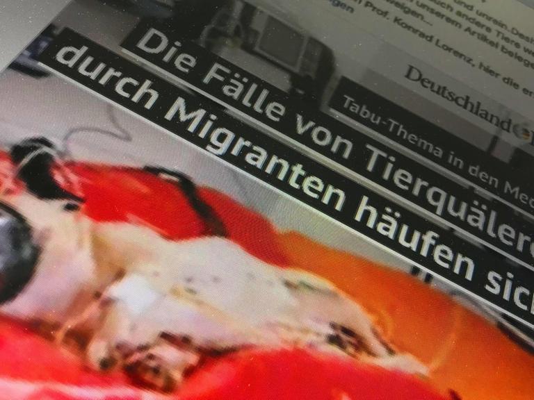 Eine Anzeige des AfD-nahen Deutschland Kurier. Politische Werbung im Internet ist nicht reguliert.