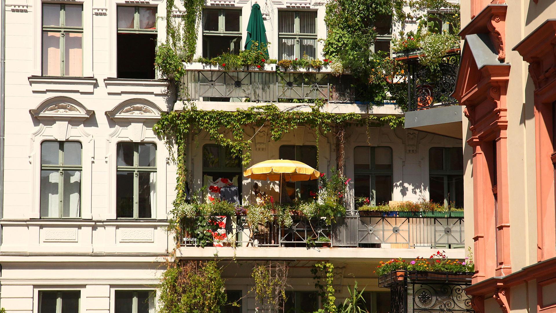 Begrünte Balkone in Berlin-Kreuzberg Begrünte Balkone in Berlin-Kreuzberg