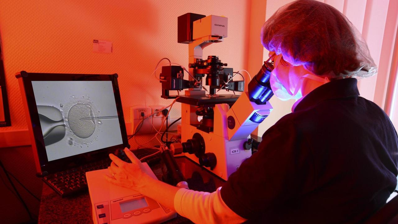 Zentrum für Reproduktionsmedizin, Interdisziplinäres Zentrum für Kinderwunschbehandlung, Privatklinik in Düsseldorf. Künstliche Befruchtung. Unter einem Mikroskop werden Spermien des Vaters in eine Eizelle der Mutter injiziert. Zentrum für Reproduktionsmedizin, Interdisziplinäres Zentrum für Kinderwunschbehandlung, Privatklinik in Düsseldorf. Künstliche Befruchtung. Unter einem Mikroskop werden Spermien des Vaters in eine Eizelle der Mutter injiziert.