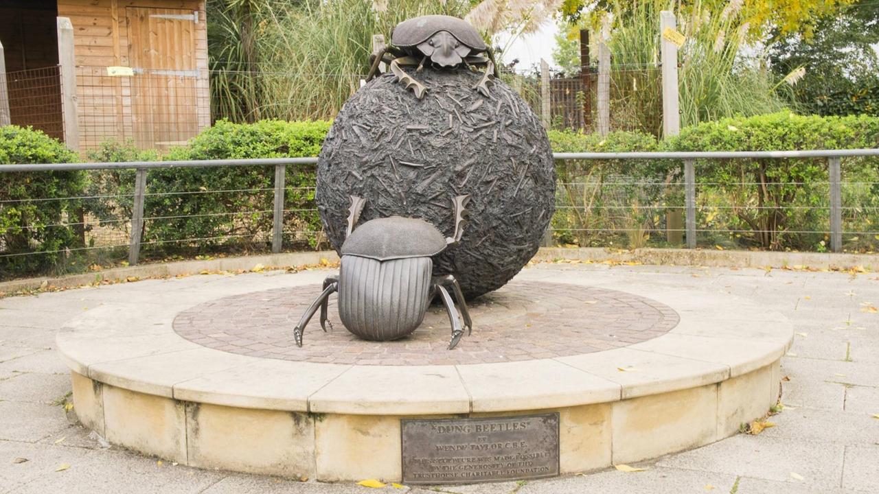 Im Londoner Zoo hat man ihnen sogar ein Denkmal gesetzt: Mistkäfer Im Londoner Zoo hat man ihnen sogar ein Denkmal gesetzt: Mistkäfer