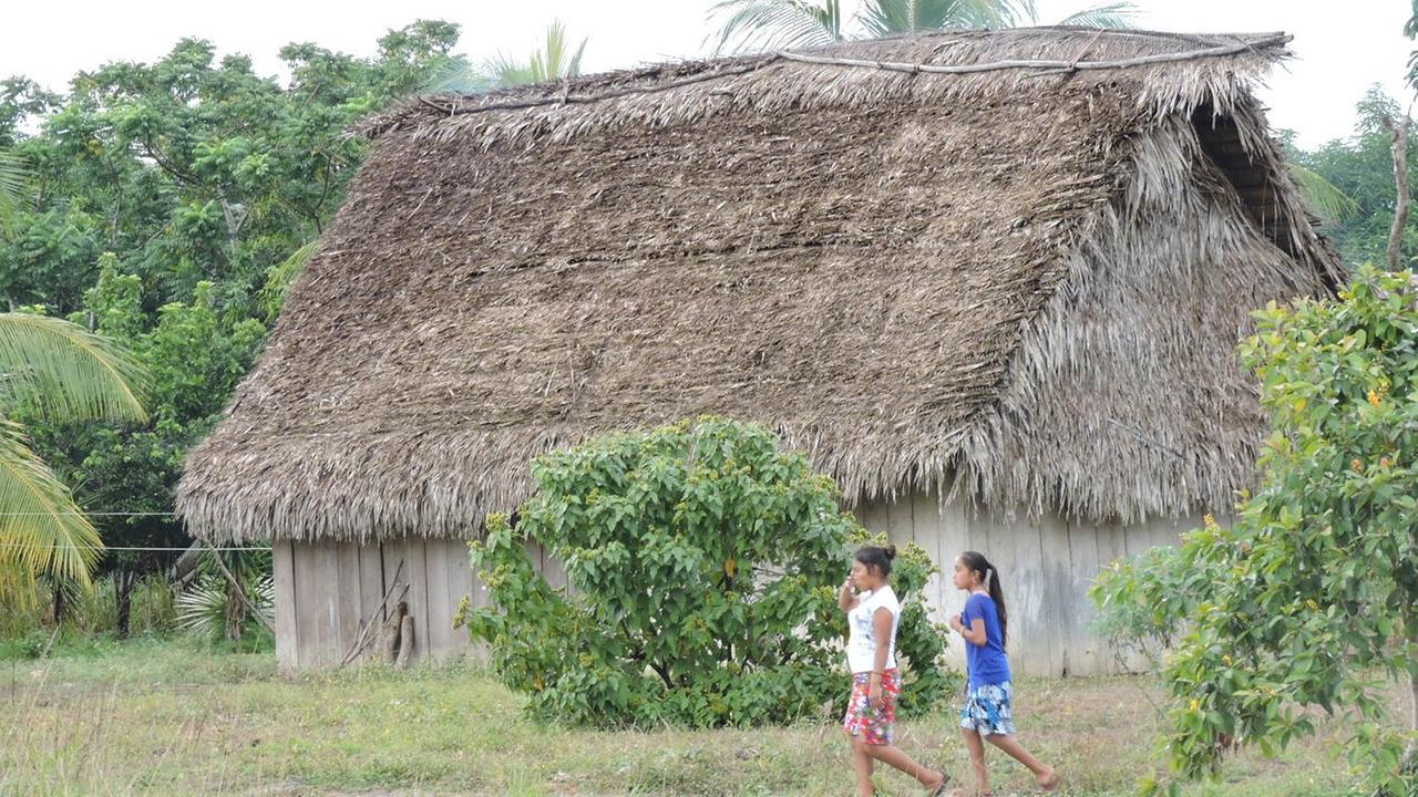 Ein reetgedecktes Holzhaus, zwei junge Frauen laufen in der grünen Landschaft daran vorbei. Ein reetgedecktes Holzhaus, zwei junge Frauen laufen in der grünen Landschaft daran vorbei.