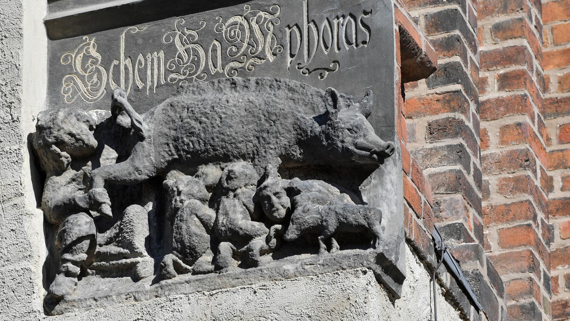 Die antisemitische Skulptur an der Sankt Marien Kirche in Wittenberg Die antisemitische Skulptur an der Sankt Marien Kirche in Wittenberg