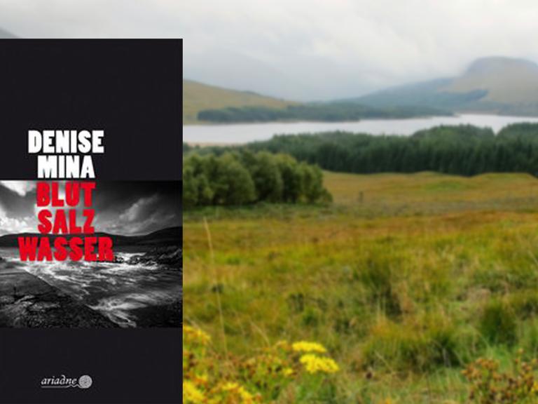 Buchcover Denise Mina: "Blut Salz Wasser"