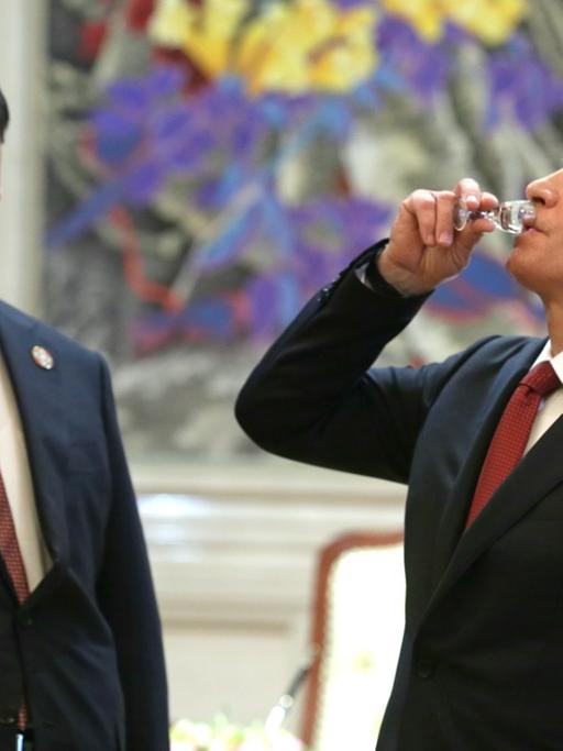 Russlands Präsident Wladimir Putin (rechts) und Chinas Staatschef Xi Jinping sind sich bei den Gas-Lieferungen einig geworden.