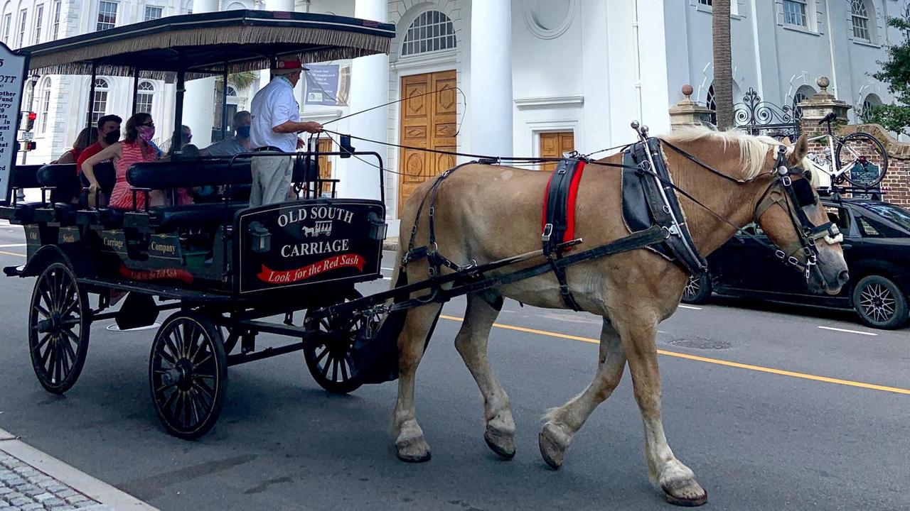 Kutsche mit Touristen fährt durch Charleston Kutsche mit Touristen fährt durch Charleston