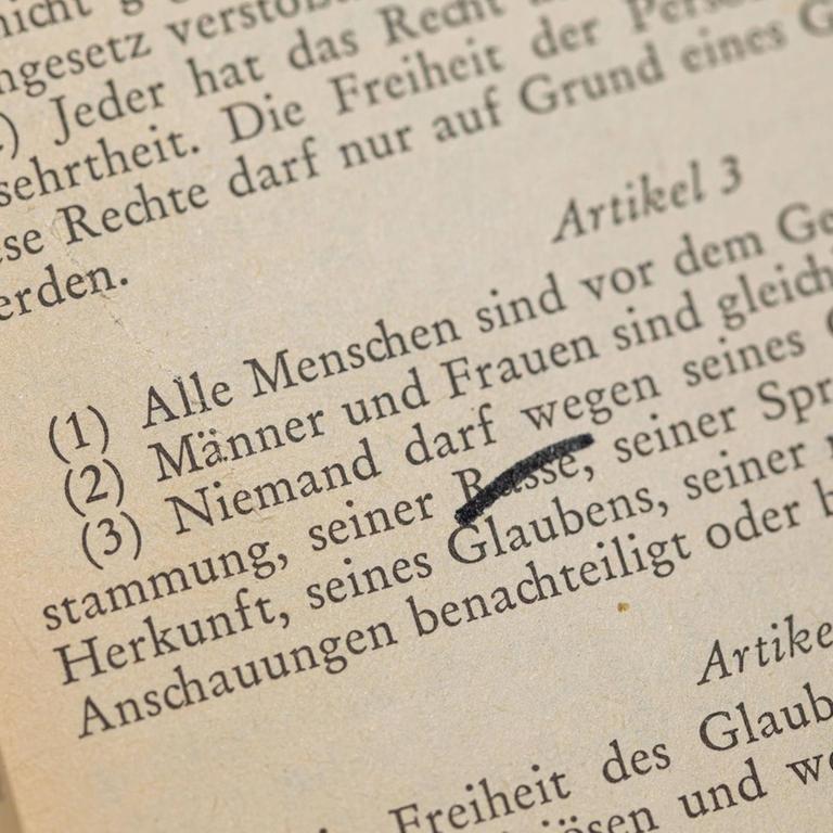 Der Begriff Rasse im Grundgesetz Aktuell wird auf politischer Ebene über den Begriff Rasse in Artikel 3 im Grundgesetz diskutiert. Die Grünen schlagen vor, den Begriff durch eine andere Formulierung wie z.B. rassistische Zuschreibung zu ersetzen.