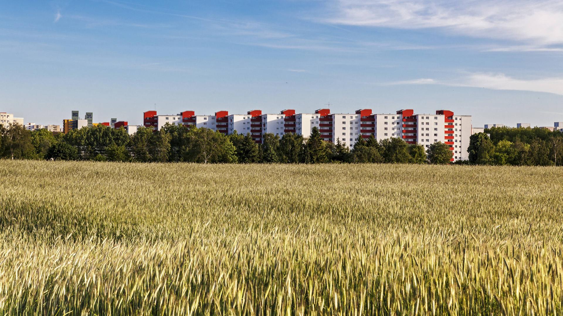 Blick auf einen Teil des Märkischen Viertel in Berlin Reinickendorf Blick auf einen Teil des Märkischen Viertel in Berlin Reinickendorf