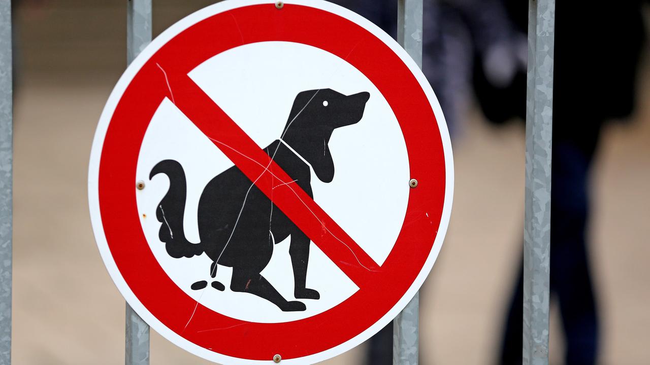 Ein Schild mit einem durchgestrichenen Hund der seine Notdurft verrichtet, in Halle/Saale