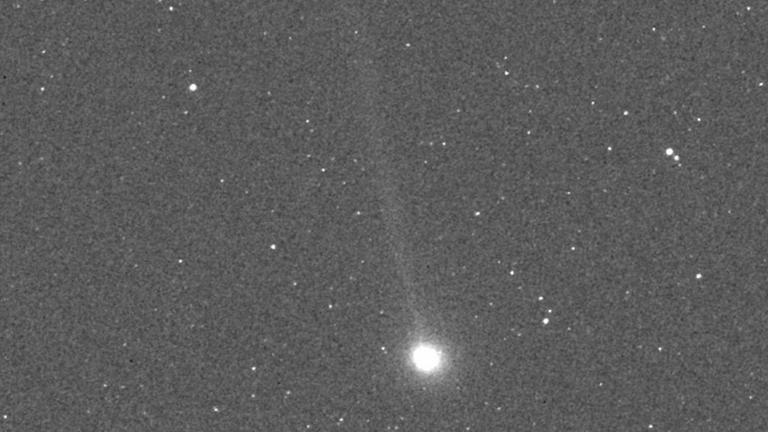 Komet Encke, ein häufiger Gast am Himmel Komet Encke, ein häufiger Gast am Himmel