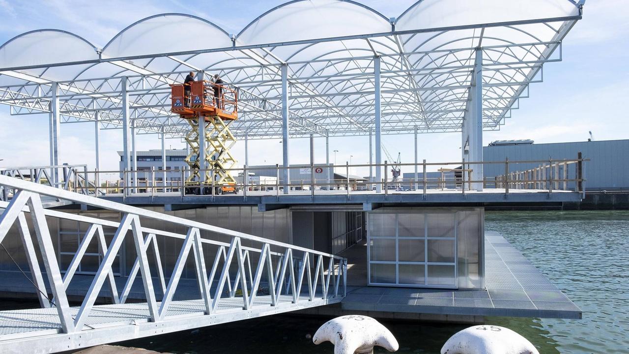 In der niederländischen Floating Farm sollen insgesamt 40 Kühe untergebracht werden. In der niederländischen Floating Farm sollen insgesamt 40 Kühe untergebracht werden.