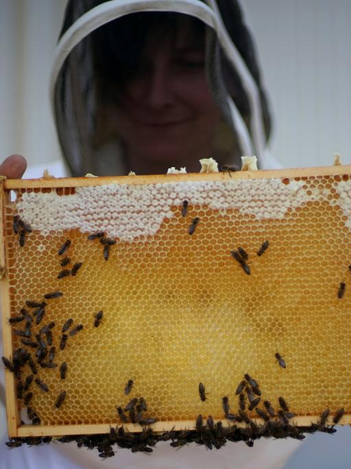 Die Imkerin Erika Mayr hält mit Schutzhelm Bienenwaben hoch