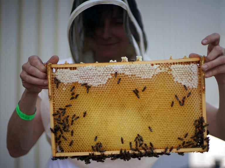 Die Imkerin Erika Mayr hält mit Schutzhelm Bienenwaben hoch