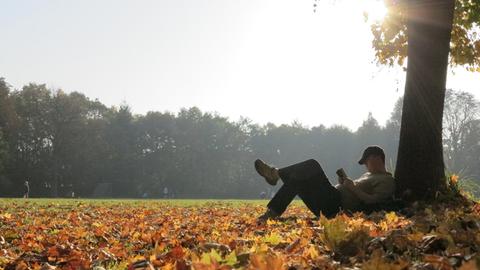 Im Münchner Hirschgarten hat es sich ein Mann unter einem Baum in der Sonne bequem gemacht und liest.