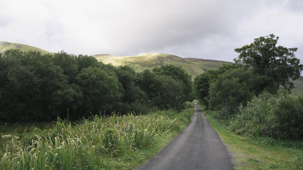 Irland - auch ein Land der Elfen und Kobolde. Hier eine schmale Landstraße nahe Glenade im County Leitrim 