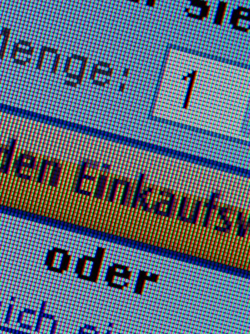 Die Anzeige eines elektronischen Warenkorbs auf einem Computerbildschirm auf der Internetseite eines Onlinehändlers, aufgenommen am 10.01.2014 in Schwerin (Mecklenburg-Vorpommern).