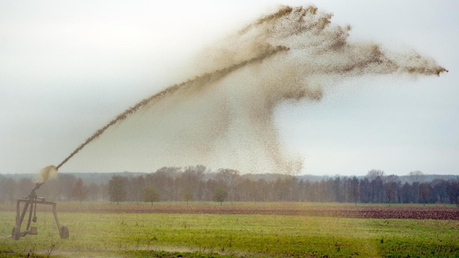 Auf einem Feld in Brandenburg wird Gülle verrieselt. Auf einem Feld in Brandenburg wird Gülle verrieselt.