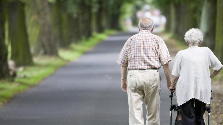 Ein Ehepaar geht in Potsdam eine Allee entlang. Die Frau schiebt einen Rollator. Ein Ehepaar geht in Potsdam eine Allee entlang. Die Frau schiebt einen Rollator.