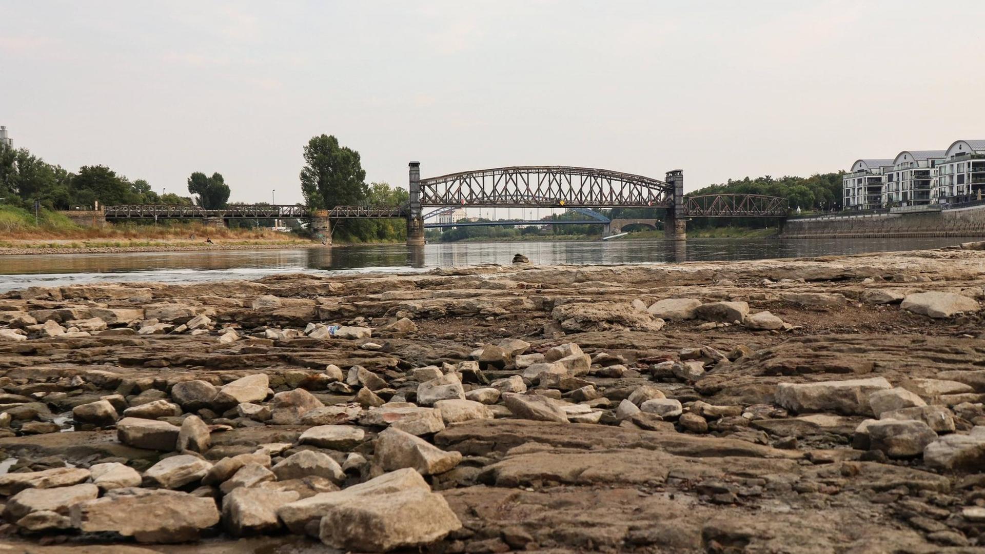 Der Domfelsen in der Elbe in Magdeburg (Sachsen-Anhalt) ist bei Niedrigwasser (55 cm) und an haltener Trockenheit vom Westufer aus zurzeit betretbar. Der Domfelsen in der Elbe in Magdeburg (Sachsen-Anhalt) ist bei Niedrigwasser (55 cm) und an haltener Trockenheit vom Westufer aus zurzeit betretbar.