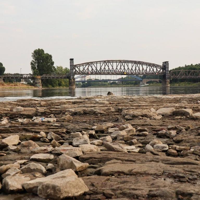 Der Domfelsen in der Elbe in Magdeburg (Sachsen-Anhalt) ist bei Niedrigwasser (55 cm) und an haltener Trockenheit vom Westufer aus zurzeit betretbar. Der Domfelsen in der Elbe in Magdeburg (Sachsen-Anhalt) ist bei Niedrigwasser (55 cm) und an haltener Trockenheit vom Westufer aus zurzeit betretbar.