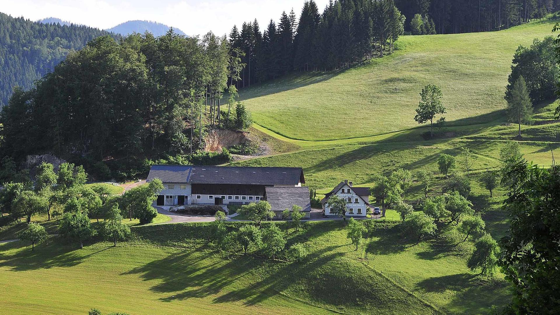 Bauernhof in Niederösterreich