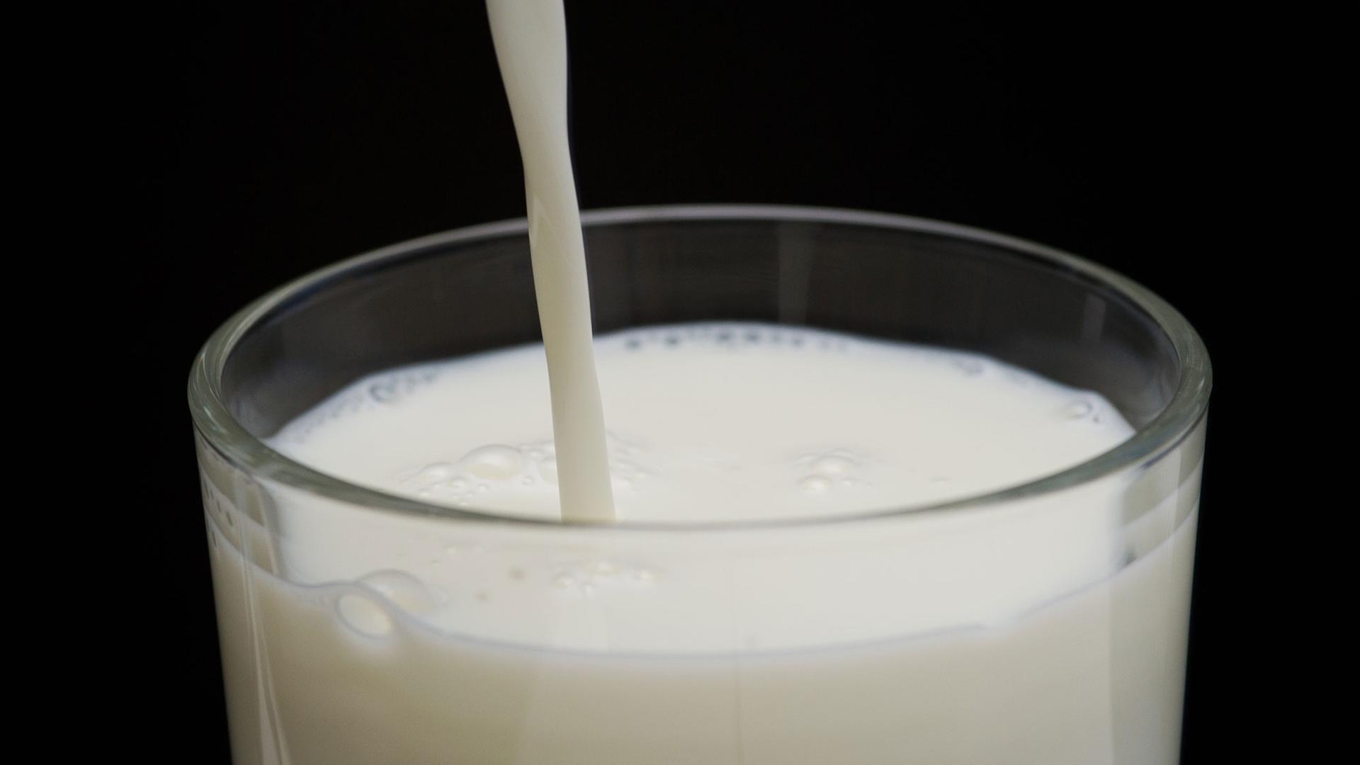 Milch Milch