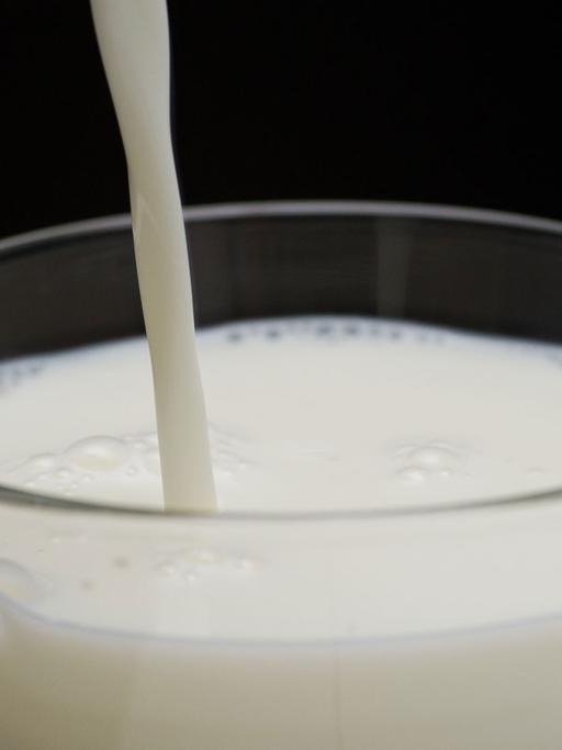 Milch