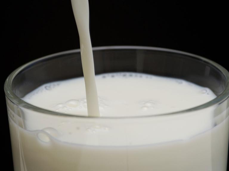 Milch