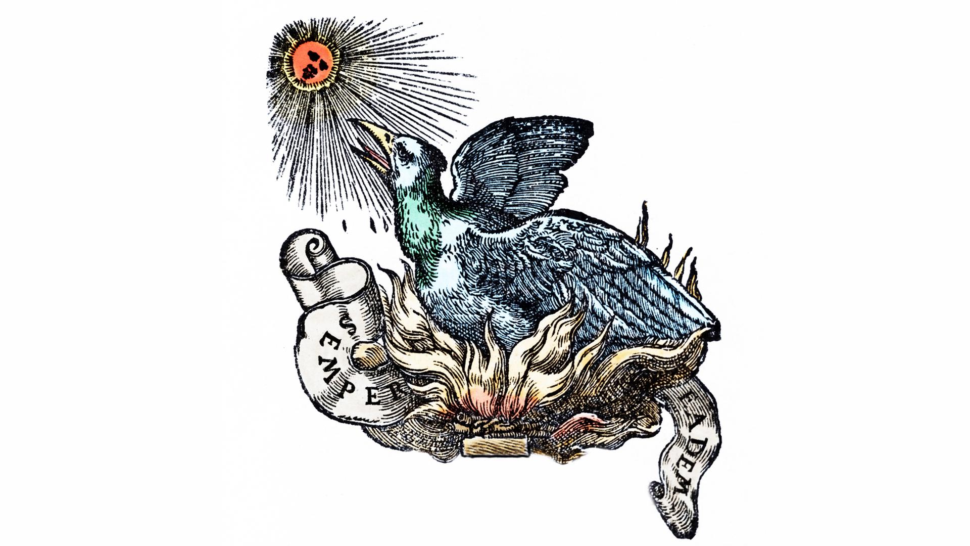 Eine Gravur aus dem 19. Jahrhundert zeigt den mythischen Vogel Phoenix. Eine Gravur aus dem 19. Jahrhundert zeigt den mythischen Vogel Phoenix.